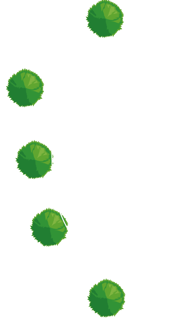 Jubilee Heights lot 35 - Phase 5