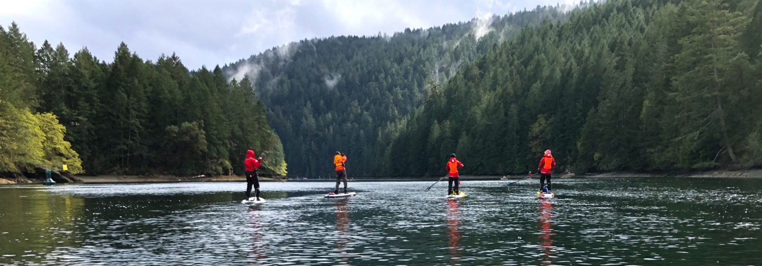 Kayak Tours in Vancouver Island - Blue Jellyfish SUP Adventures