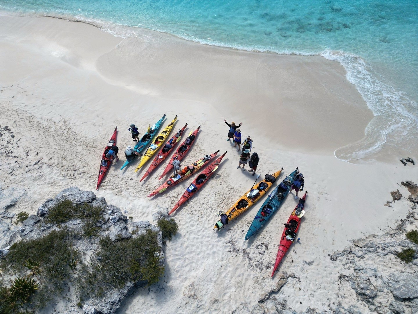 Kayak Tours in Vancouver Island - Kayak with the Whales