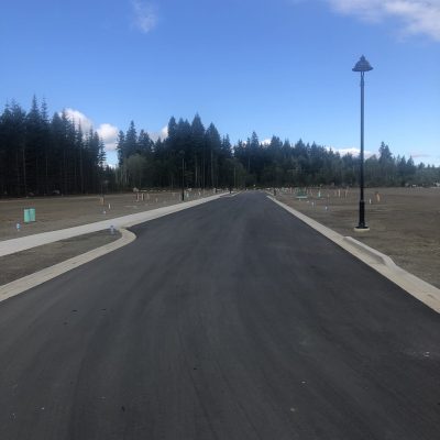 Salmonberry road